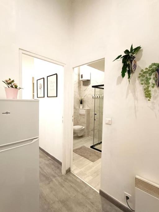Appartement Gare Saint Charles Marseille Kültér fotó